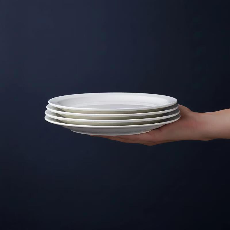 ZHISHI 10.25-inch Ceramic Flat Dinner Plates (4-Pack)