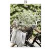 Green Mountain Dandelion Bike Grass Leaf Wall Art Canvas Painting Nordic Posters And Prints Wall Pictures For Living Room Decor