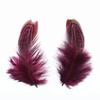 Ringneck Pheasant Feathers For Jewelry Making Crafts 4-8Cm/2-3" Feather Decor Wedding Carnaval Decoration Handicraft Accessories