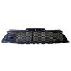 MINI R56 JCW Chrome Front Bumper Grille 51117283331