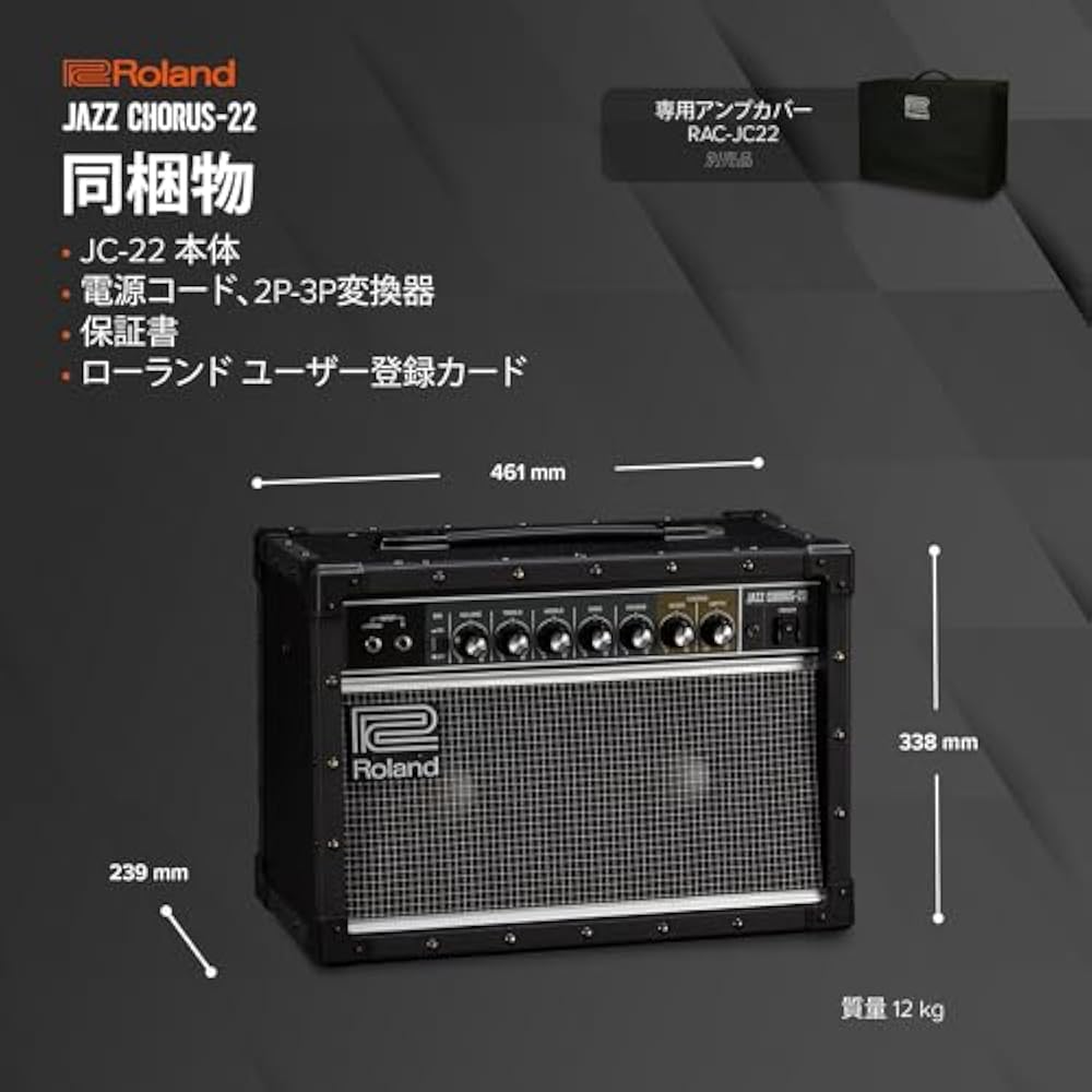 Roland/JC-22 Roland Guitar Amp Jazz Chorus 30W