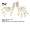 Decorative Skeleton Hands for Events Halloween Hands, 3D Printed Hand Bones Model, Realistic Unique Table Centerpieces Spooky Bone Claw Prop