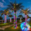 Solar Powered Solar String Lights Waterproof Flexible Tube Lamp  for Garden Tree Yard Fence