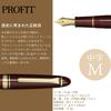 Sailor Profit Standard 21 Fountain Pen, Maroon, Medium Nib, 11-1521-432
