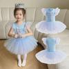 Girls 2025 Frozen Elsa Princess Ballet Skirt Costume for Kindergarten Performance