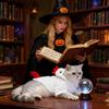 Костюмы на Хэллоуин для собак Смешные куриные наряды Костюм на День благодарения для маленькой собаки Костюм-тройка для щенка среднего размера Ролевые игры Домашние путешествия День рождения