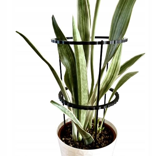 Podpora roślin kwiatów obejma pierścieniowa obręcz podpórka ring l 60x24cm