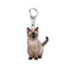 Cartoon Cat Shape Keychain 2D Acrylic Cat Charm Keyring Keys Parties Versatile Keychain Bag Charm Accessory