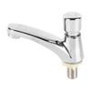 Time Delay Faucet Copper Self Closing Single Cold Sink Taps for Home Kitchen Public