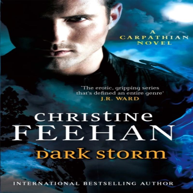 Dark Storm by Christine Feehan Paperback Book 9780749957544