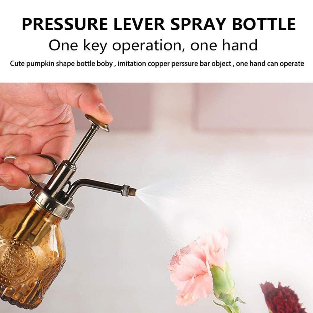 Лейка для растений Винтажный стеклянный распылитель для растений Бутылка-распылитель для цветов Садоводство Домашние разбрызгиватели Полив помещений Орошение