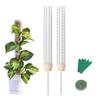 Moss Pole 25cm Plastics Coir Moss Totem Pole Stick for Plant Stakes and Supports Climbing Indoor