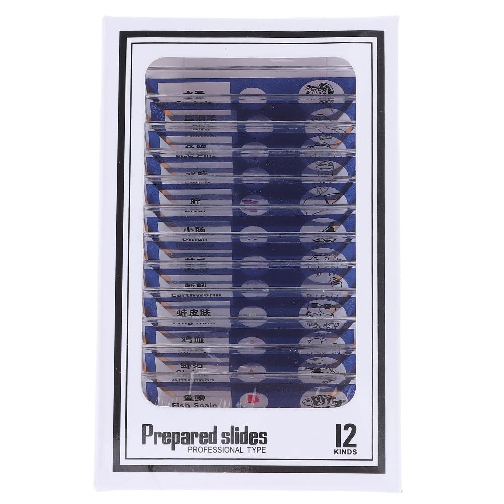 Образцы Микроскоп Образцы Готовые Слайды Пластиковые Слайды для Микроскопа Отличный Подарок Дети
