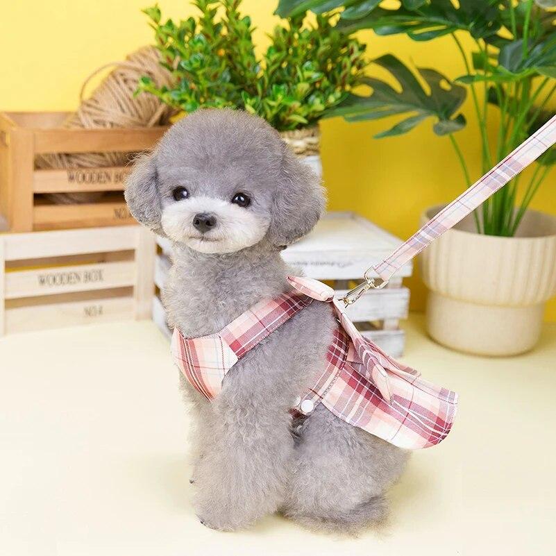 Набор поводков для домашних животных, поводок для маленьких и средних собак, кошек, платье с бантом для щенка, котенка, чихуахуа, мопса, поводок для прогулок на открытом воздухе