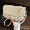 Bag women's 2025 spring and summer new Korean version trendy fashion small square bag niche high-end simple casual messenger bag