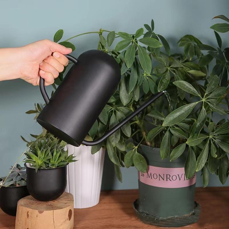 Black Stainless Steel Retro Watering Can with Long Spout - Large Capacity for Gardening and Succulents