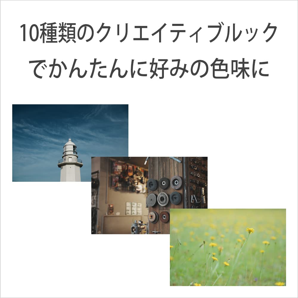 Sony Vlog Camera VLOGCAM Digital Camera Video Selfie Body Windscreen Included 20mm Single Focus Lens White W / / / / / / ZV-1F / / / F2.0 / / ZV-1F