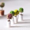 2 шт. уникальная тонкая работа подарок маленький детский кукольный домик модель игрушка для растений в горшках миниатюра