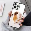 Hamster Guinea Pig Mobile Phone Cases Cover For iPhone 17 Air 16e 15 14 12 13 11 Pro MAX apple Plus Coque