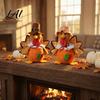 Autumn Harvest Table Centerpiece Thanksgiving Plush Turkey Doll Stuffed Animal Figurine Tabletop Figures Decoration for Home Desktop Tired