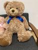 [USED] 5 Teddy Bear Plush Toys