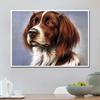 5D Алмазная картина Полный дрель Собака Кристалл Картина Алмазная вышивка Животное Овчарка Изображение