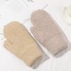 Women Girl Solid Color Soft All Fingers Double Layer Rabbit Hair Mittens Winter Gloves