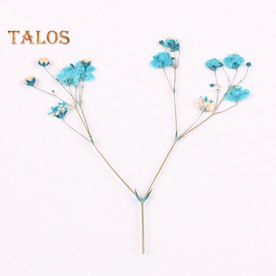 Сушёные цветы для рукоделия 12шт