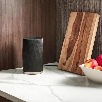 Беспроводная умная колонка Bowers & Wilkins Formation Flex, штекер CN (адаптер в комплекте)