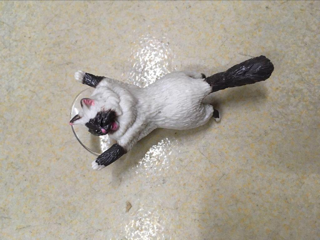 Weibo Douyin Cat Suction Cup Phone Holder for Adults & Kids