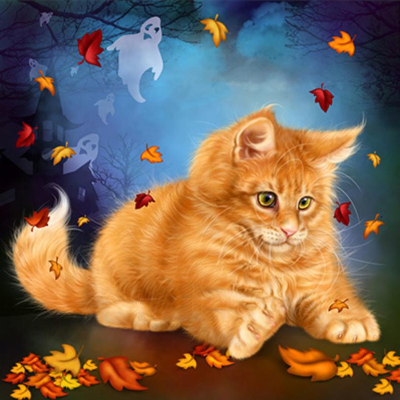 5D DIY Алмазная картина Кошка Наборы для вышивки крестом Алмазная вышивка Животное Рукоделие Мозаика Полный квадрат Декор для дома