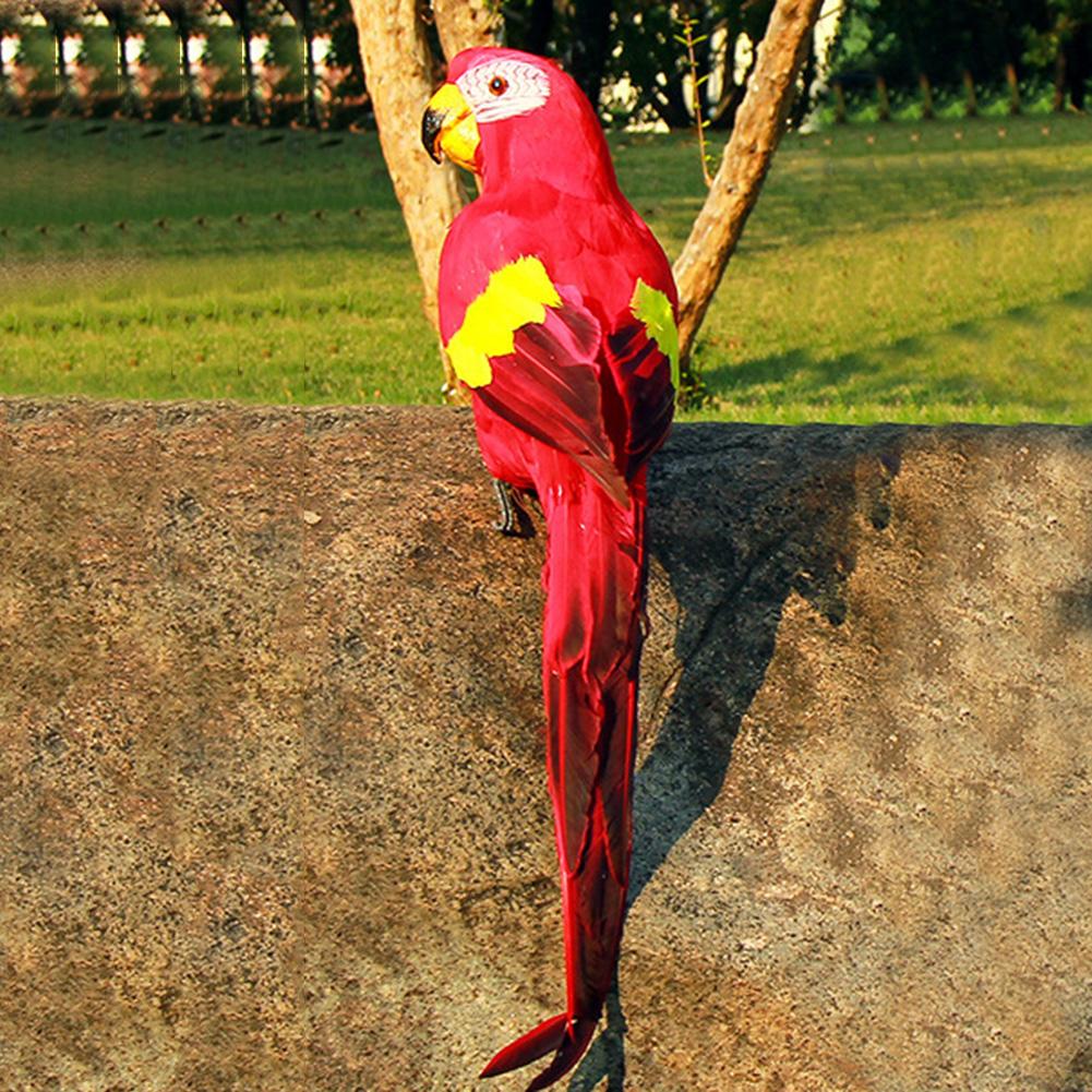 Искусственный попугай Витрина магазина Фотография Рождественская вечеринка Моделирование Подделка