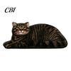 Cute Cat Floor Mat Bathroom Rug, Anti-Slip Absorbent Bath Washable Plush Home Safety Rug Kitty Door for Entrance Kitchen Decor Doorway Protector