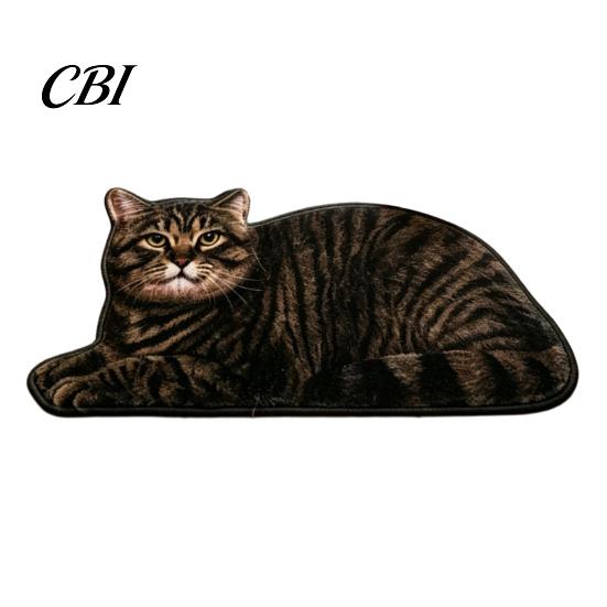 Cute Cat Floor Mat Bathroom Rug, Anti-Slip Absorbent Bath Washable Plush Home Safety Rug Kitty Door for Entrance Kitchen Decor Doorway Protector