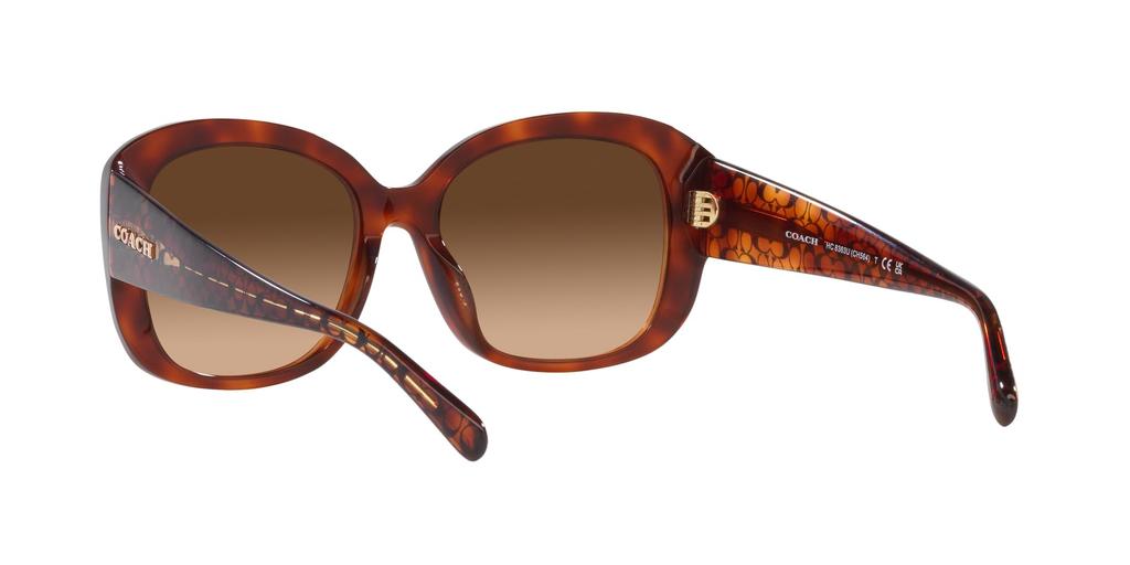 Sunglasses HC8363U CH564 CARAMEL TORTOISE GRADIENT Lens 56 [Coach] Frame/BROWN