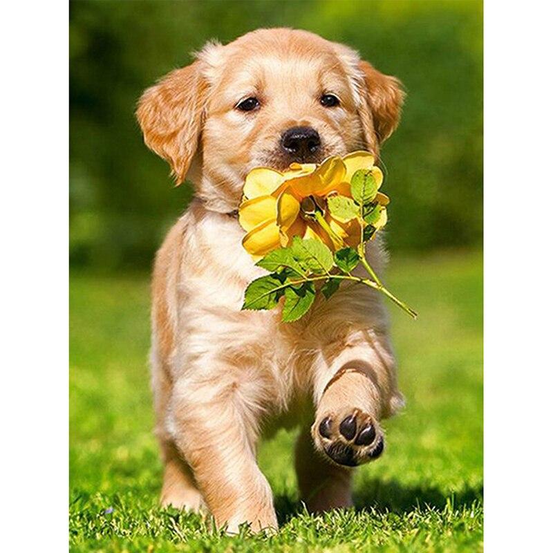 DIY5D Diamond Painting Dog Diamond Embroidery Rhinestone Full Round/Mosaic Animal Cross Stitch Home Decor Manual Art Gift