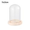 Plants Transparent Bottle Jar Glass Vase Wooden Base Flower Storage Box Glass Cloche Dust Cover
