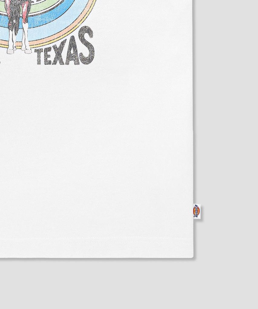 DICKIES Texas Horse Ringer T-Shirt White/Sky Blue