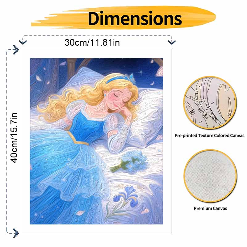 Disney Cinderella oil painting art kit handmade painting diy home decoration