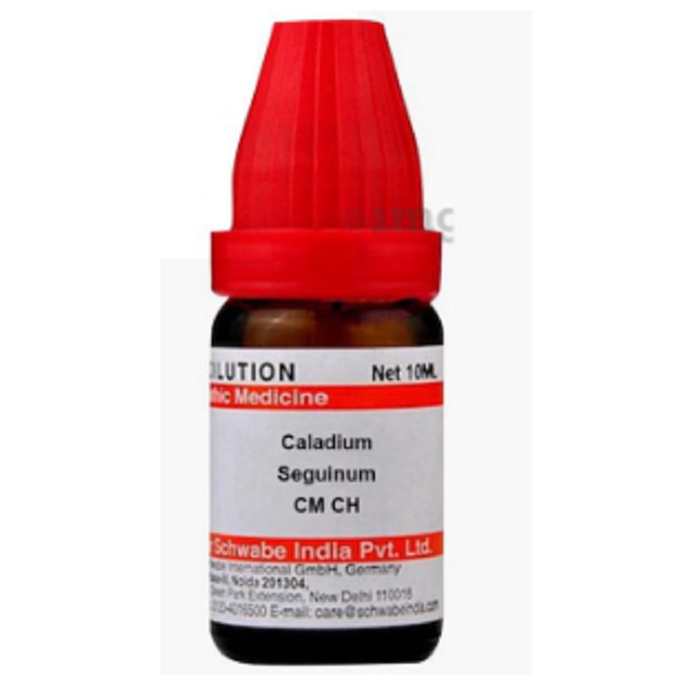 @Dr Willmar Schwabe India Caladium Seguinum Dilution CM 10ml UK75 50%OFF