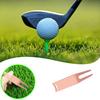 Инструмент для ремонта лунок на поле для гольфа 2 штифта Полированный Легко установить Портативный Тренировка по гольфу Гольф