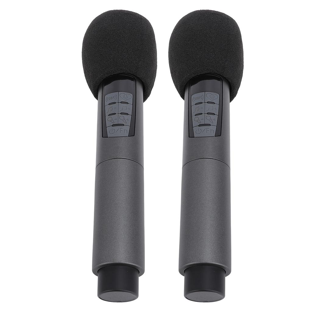 Беспроводной динамический микрофон с приемником 2.4G, 10 каналов, защита от помех, Bluetooth, беспроводной, два