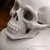 Уникальная скульптура Черепаха и Утка 3D-печатное украшение Готическая фигурка Креативная Матовая