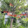 Wind Chimes Plastic Butterfly Reflective Rotating Windmill Decoration for Hanging Bring Happiness Outdoor Garden