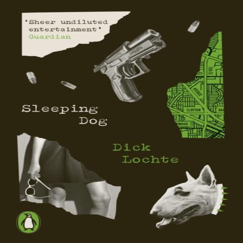 Sleeping Dog by Dick Lochte Paperback Book 9780241656921