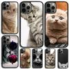 Чехол для телефона с милыми котятами для iPhone 17 Air 15 16e 14 13 Pro Max Coque 12 11 Pro Max PLUS