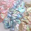 Slices Shell Fragments Ornament Nail Art Abalone Slices Nail Art Decorations