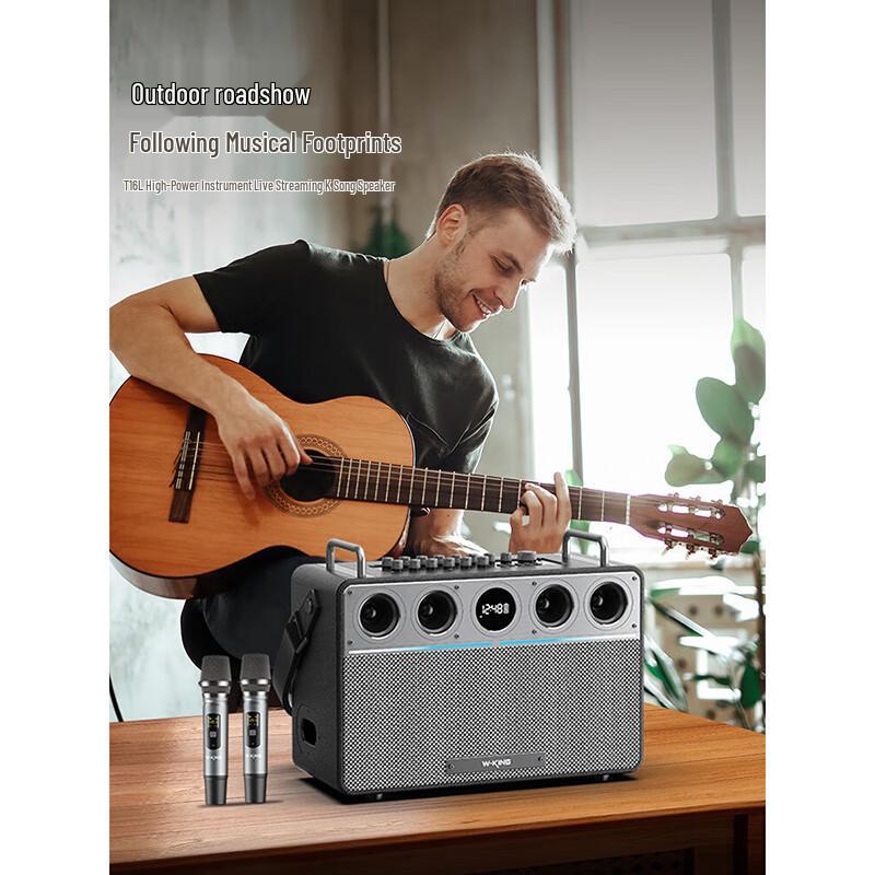 W-King T16L 160W Outdoor Karaoke Bluetooth Speaker
