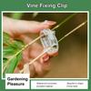 50 шт., без вреда для растений, зажим для виноградной лозы, практичный садовый подвесной держатель для ветвей растений, экономящий трудозатраты