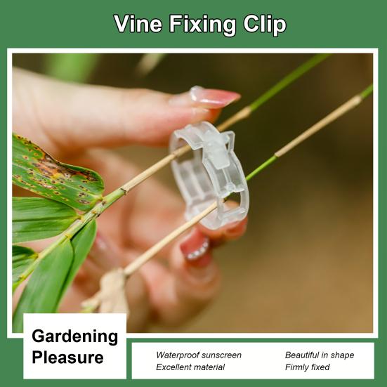 50 шт., без вреда для растений, зажим для виноградной лозы, практичный садовый подвесной держатель для ветвей растений, экономящий трудозатраты